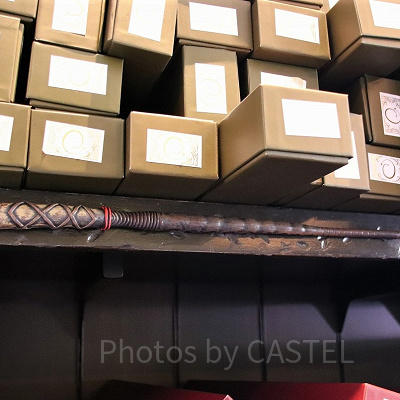 ヒイラギ（7/8～8/4）