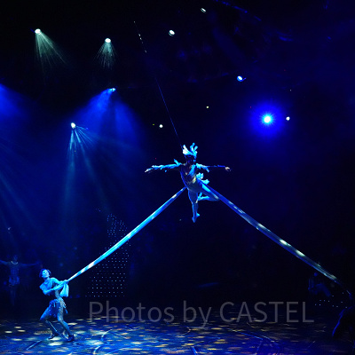 香港ディズニー「フェスティバル・オブ・ザ・ライオンキング」ショー：見どころ