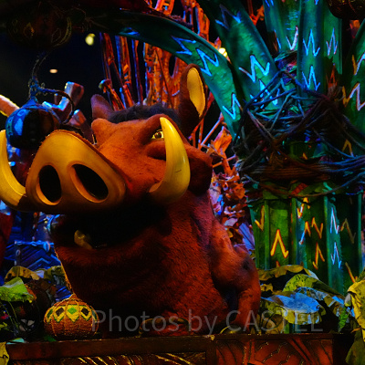 香港ディズニー「フェスティバル・オブ・ザ・ライオンキング」ショー：攻略