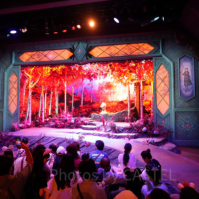 香港ディズニーのアナ雪エリア「ワールドオブフローズン」:プレイハウス・イン・ザ・ウッズ