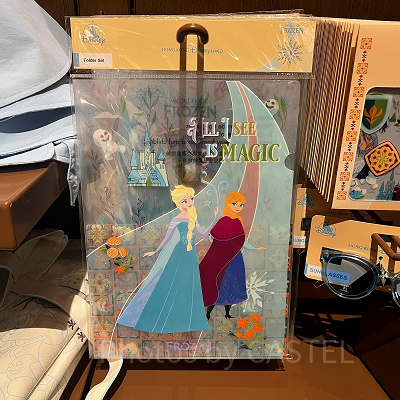 香港ディズニーアナ雪グッズ:クリアファイルセット