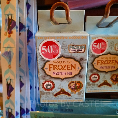 香港ディズニーアナ雪グッズ：コレクタブルピンバッジ