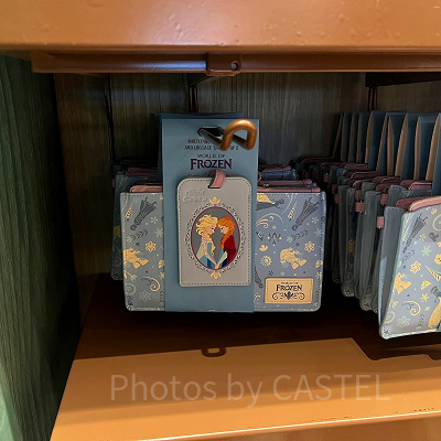 香港ディズニーアナ雪グッズ：マルチケース＆パスケース