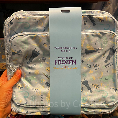 香港ディズニーアナ雪グッズ:旅行用バッグ