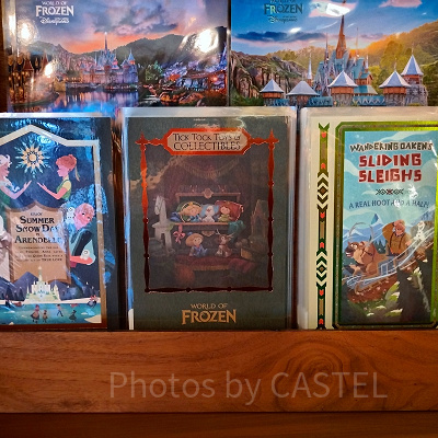 香港ディズニーアナ雪グッズ：ポストカード各種