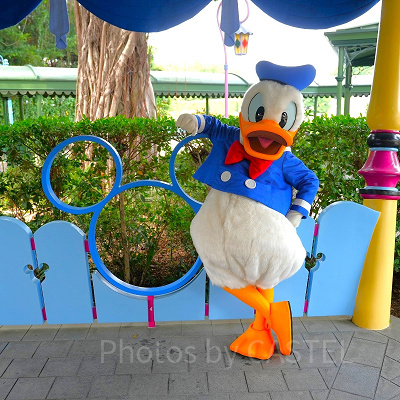 香港ディズニーのグリーティング：ファンタジーガーデンのドナルド