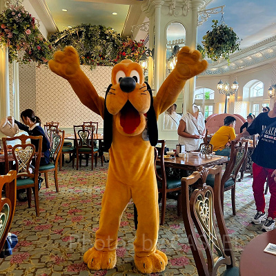 香港ディズニーのグリーティング：ランドホテル内エンチャンテッドガーデンのプルート