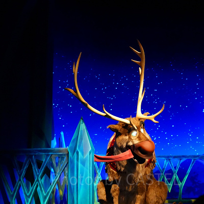 香港ディズニーチケット：アーリーパークエントリーパス