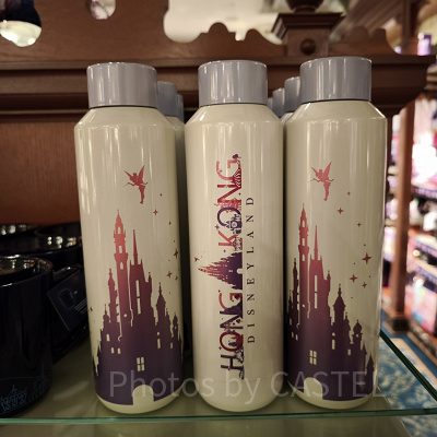 香港ディズニー20周年・スカイライングッズ:ドリンクボトル