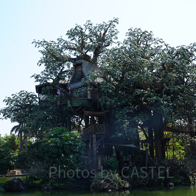 香港ディズニーランドのアトラクション:ターザン・ツリーハウス