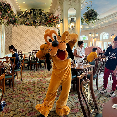 香港ディズニーランドホテル:エンチャンテッドガーデンのキャラクターダイニング