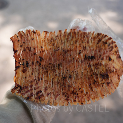 香港ディズニーランド：韓国風イカ焼き