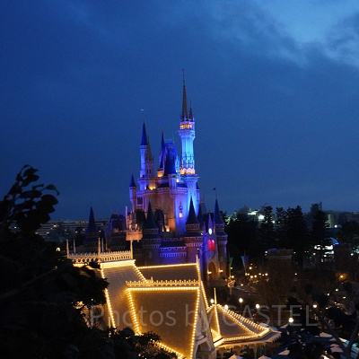 スイスファミリー・ツリーハウスからの景色