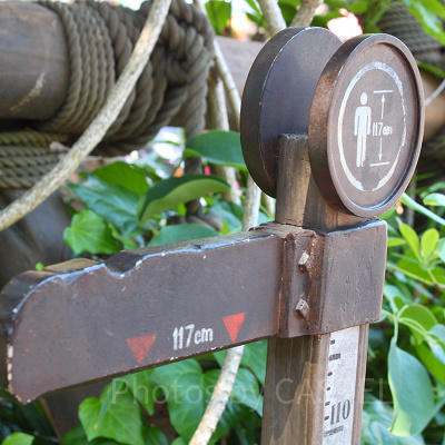 身長はどのように計測されるの？