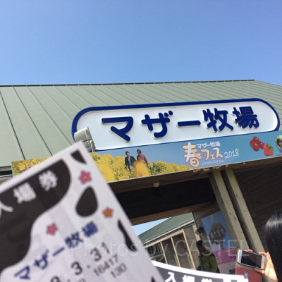 マザー牧場のアクセス方法