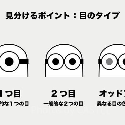 ミニオンの見分け方②：目のタイプ