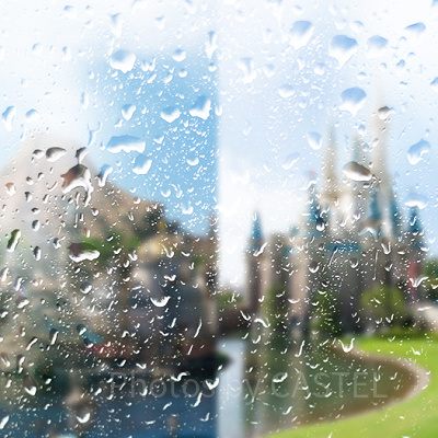 雨の日ディズニー楽しみ方