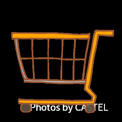 期間限定パスポートの購入方法