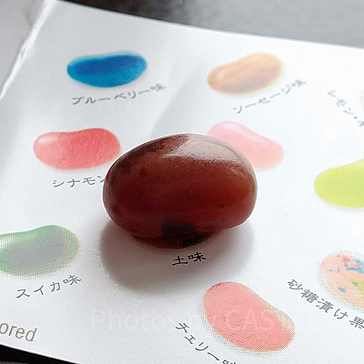 百味ビーンズ　土味