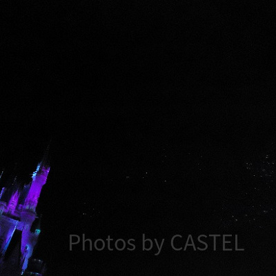 ディズニーランドから帰りたくないけれど…