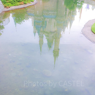 端から水面に映ったシンデレラ城をとりました。