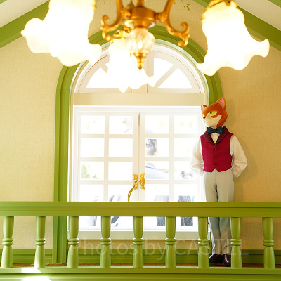 猫の事務所の中には…？