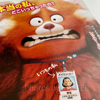 『私ときどきレッサーパンダ』の日本語吹替声優をご紹介！