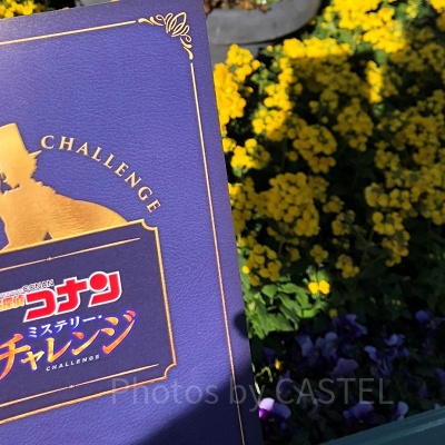 2019年ミステリー・チャレンジの捜査資料