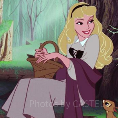 オーロラ姫は出演が少ないプリンセス？