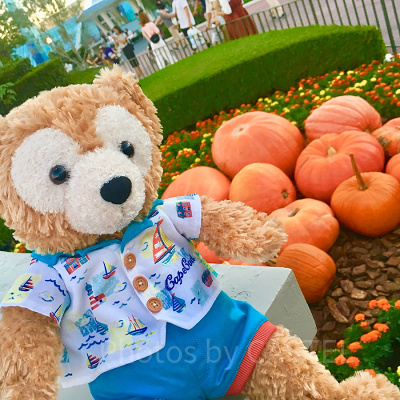 イベント前だったこともあり、ハロウィーンの装飾は少なかったです