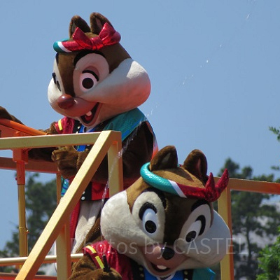 夏のショーでびしょぬれになっても大丈夫