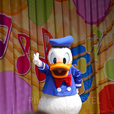 ジャンボリミッキー！レッツ・ダンス！のドナルド