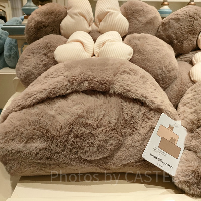1月ディズニーランド混雑レポ：ミニーのブランケット