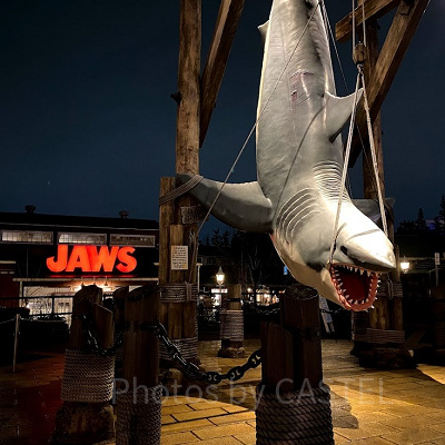 夜のJAWSは迫力満点！