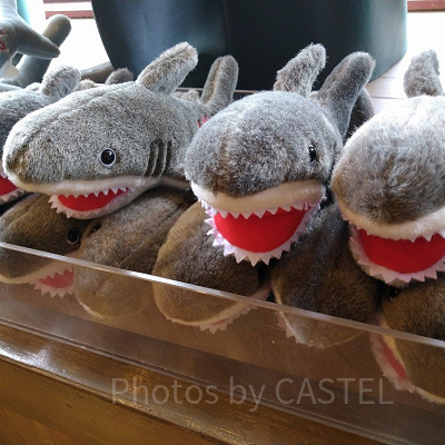 ジョーズぬいぐるみ（中）