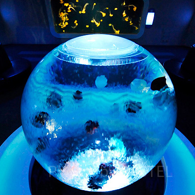 クラゲプラネット～海月の惑星～