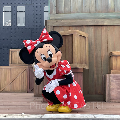 ジャンボリミッキーのミニー