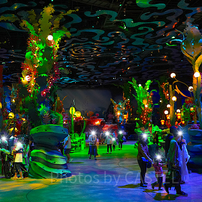 ジャンピン・ジェリーフィッシュ