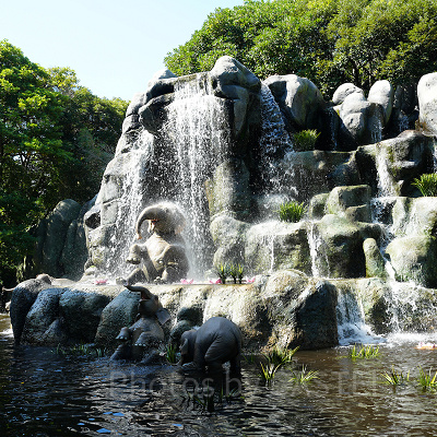 ジャングルクルーズ