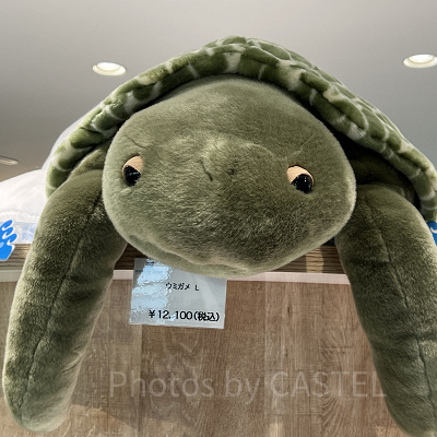海遊館/ウミガメぬいぐるみ