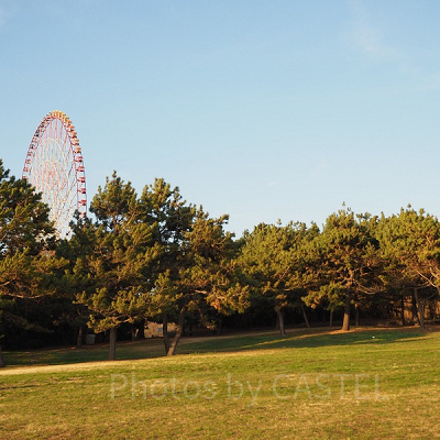 自然豊かな葛西臨海公園