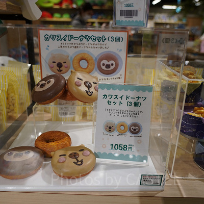 カワスイドーナツセット