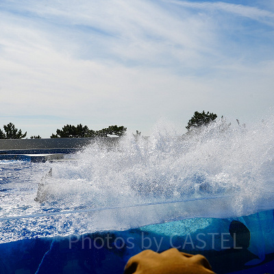 神戸須磨シーワールドのシャチショー：前方席はカッパ必須！