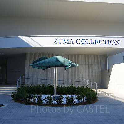 神戸須磨シーワールド：無料で入れる小水槽エリア須磨コレクション