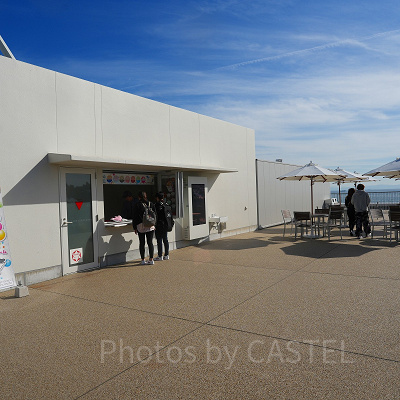 神戸須磨シーワールド：アイスカウンター