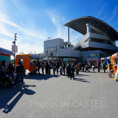 神戸須磨シーワールド：広場にある複数のワゴン