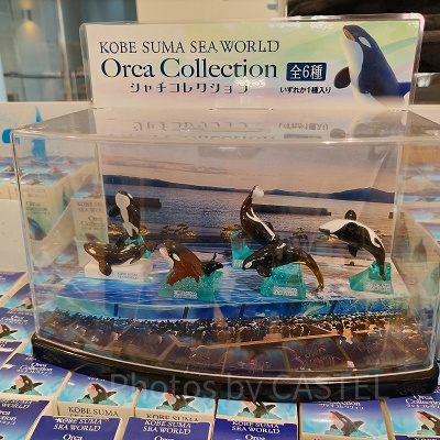 シャチグッズ11点セット 鴨川シーワールド　須磨シーワールド ブルーフラッグ｜レストラン・ショップ｜館内のご案内｜神戸須磨