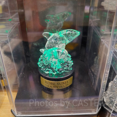 神戸須磨シーワールドのお土産・グッズ：イルミネーションスタンド（シャチ＆イルカ）