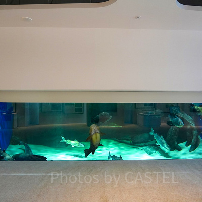 神戸須磨シーワールド：須磨コレクション