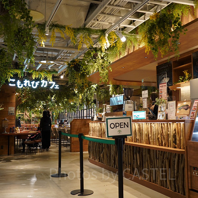 こもれびカフェ